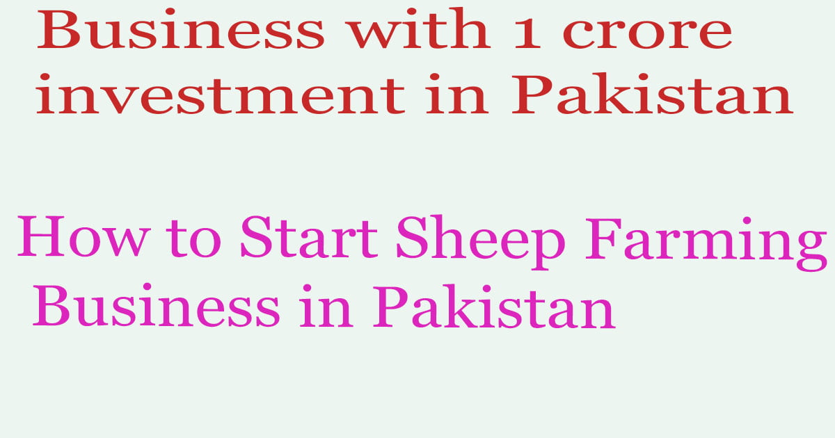 How to Start Sheep Farming Business in Pakistan