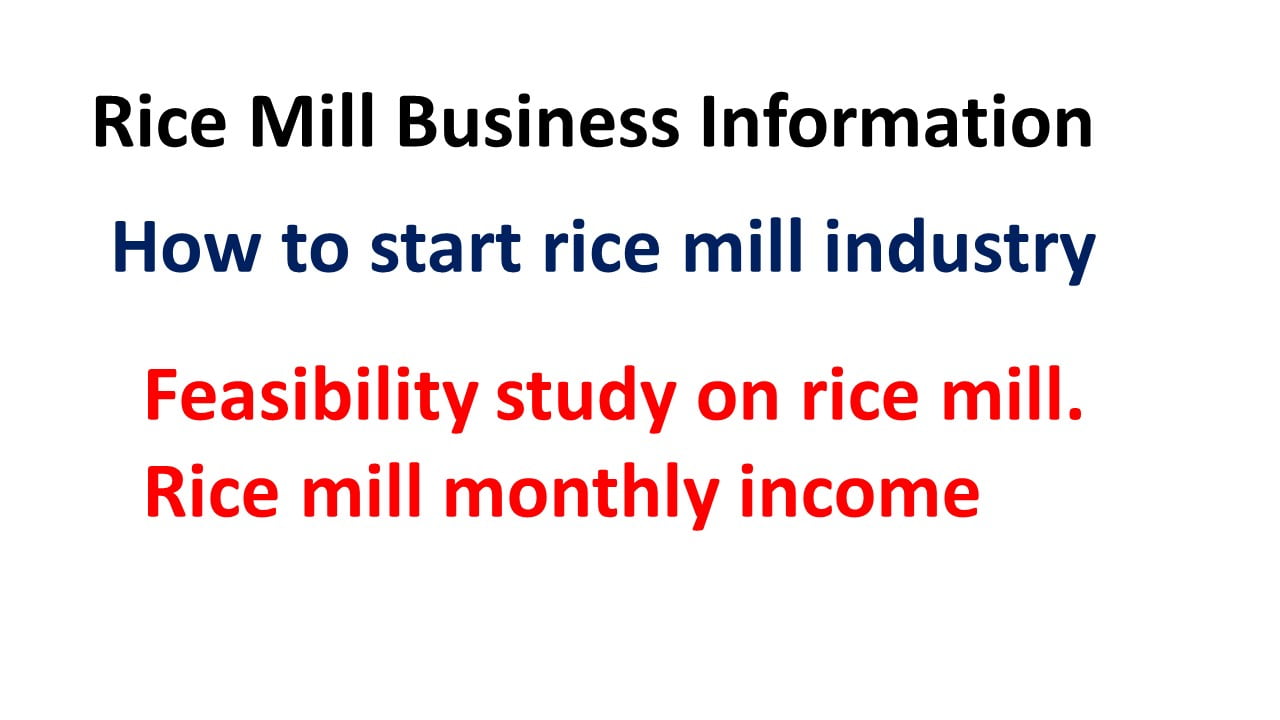 Rice Mill Business Information