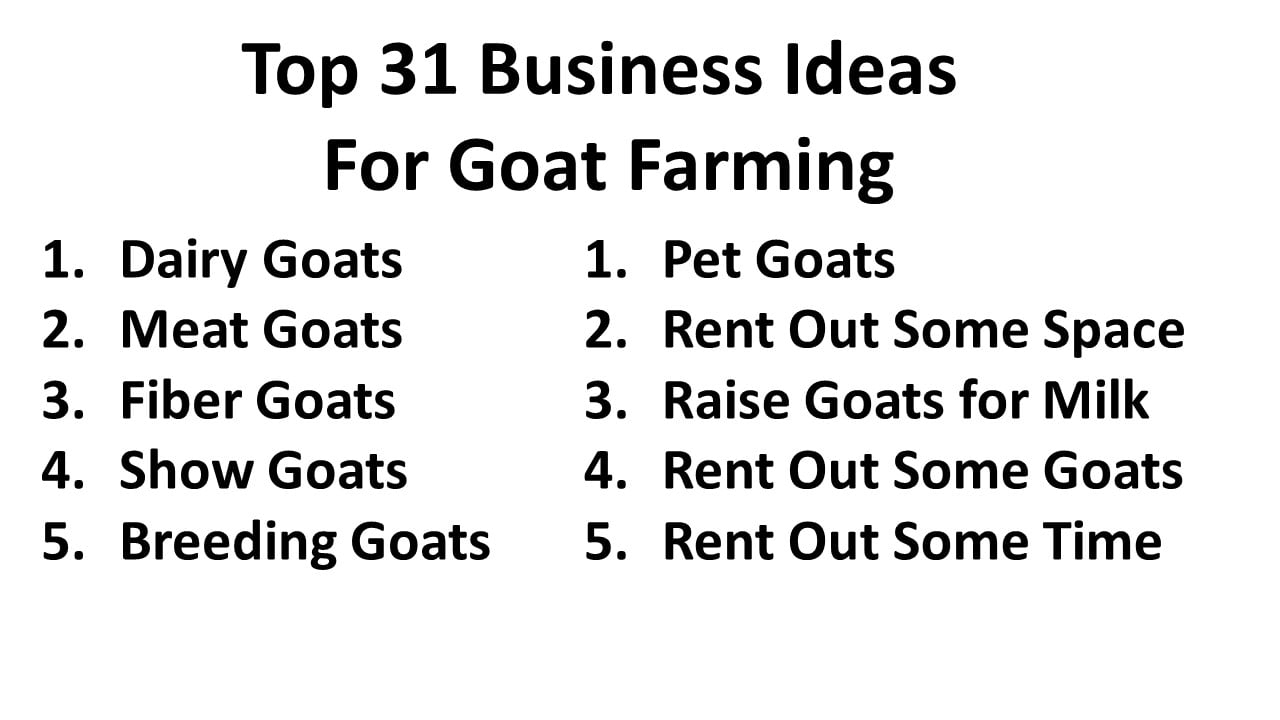 Top 31 Business Ideas For Goat Farming