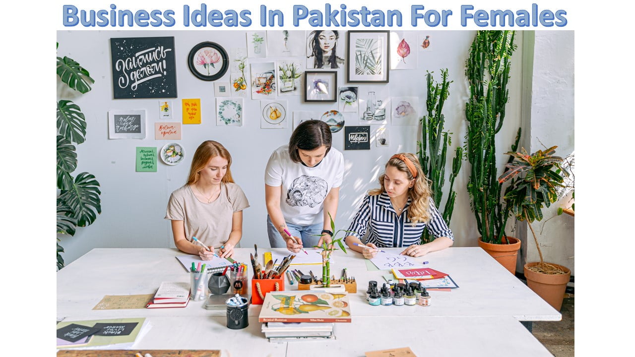 Best Business Ideas In Pakistan For Females