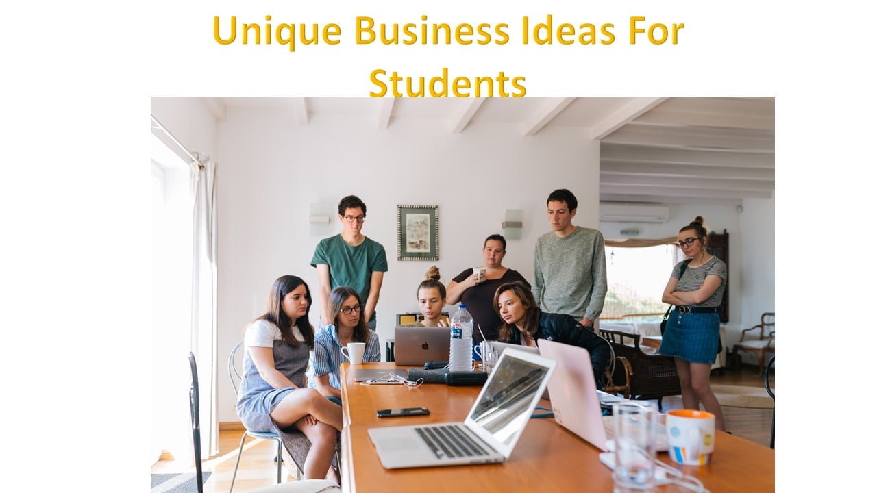 Unique Business Ideas For Students