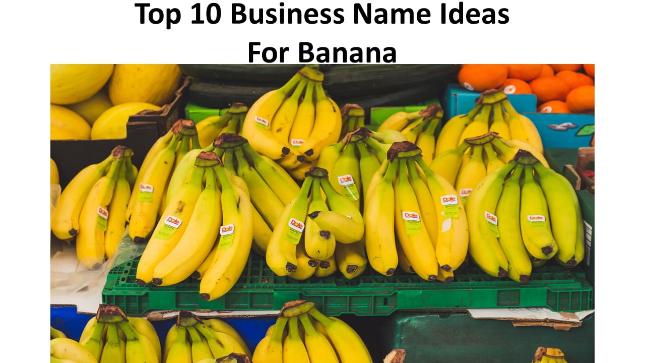 Top 10 Business Name Ideas For Banana