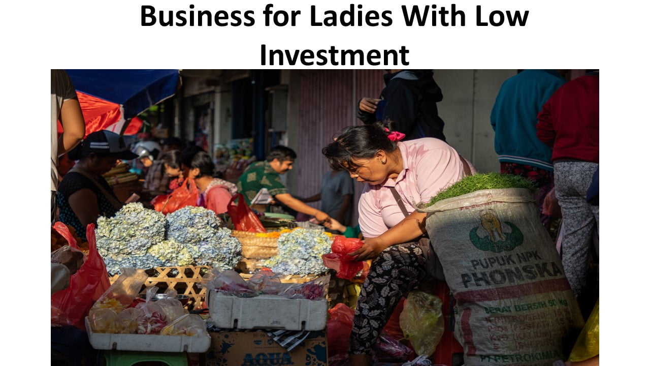 Business for Ladies With Low Investment