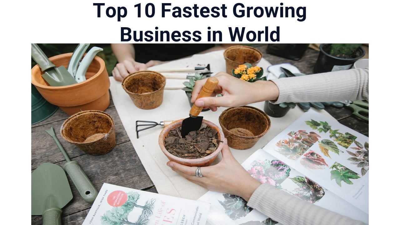Top 10 Fastest Growing Business in World
