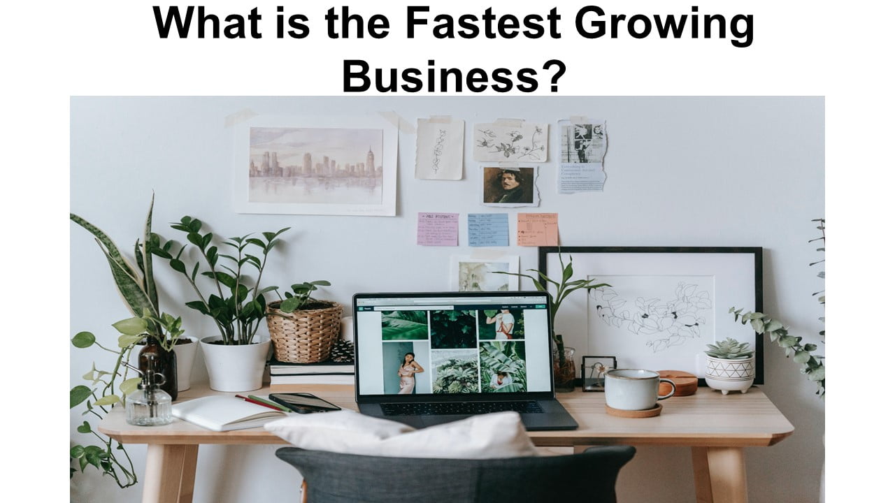 What is the Fastest Growing Business