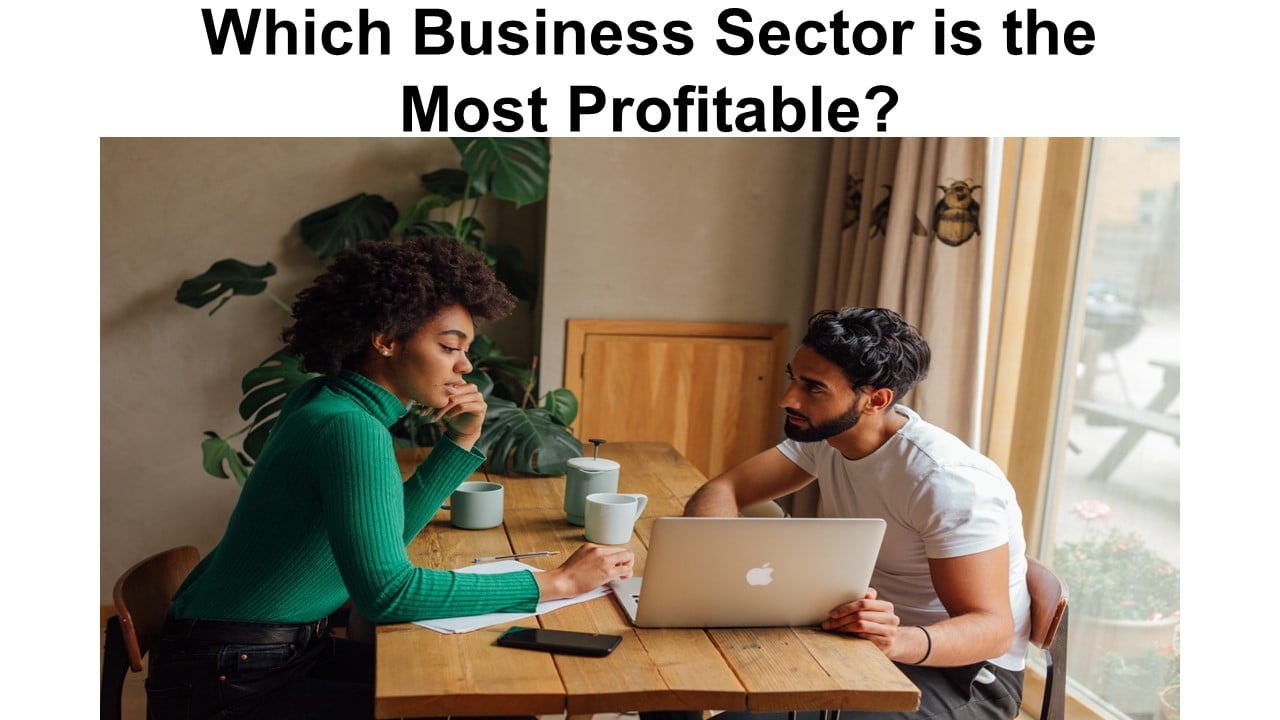 Which Business Sector is the Most Profitable