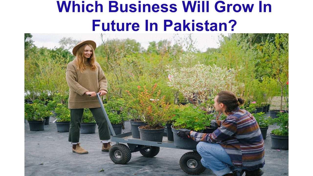 Which Business Will Grow In Future In Pakistan