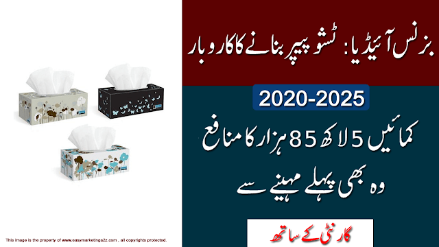 new business ideas for pakistan 2022 in urdu